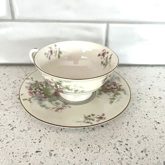 Vintage Theodore HAVILAND New York Apple Blossom Footed Tea Cup & Saucer Set - Picture 2 of 5